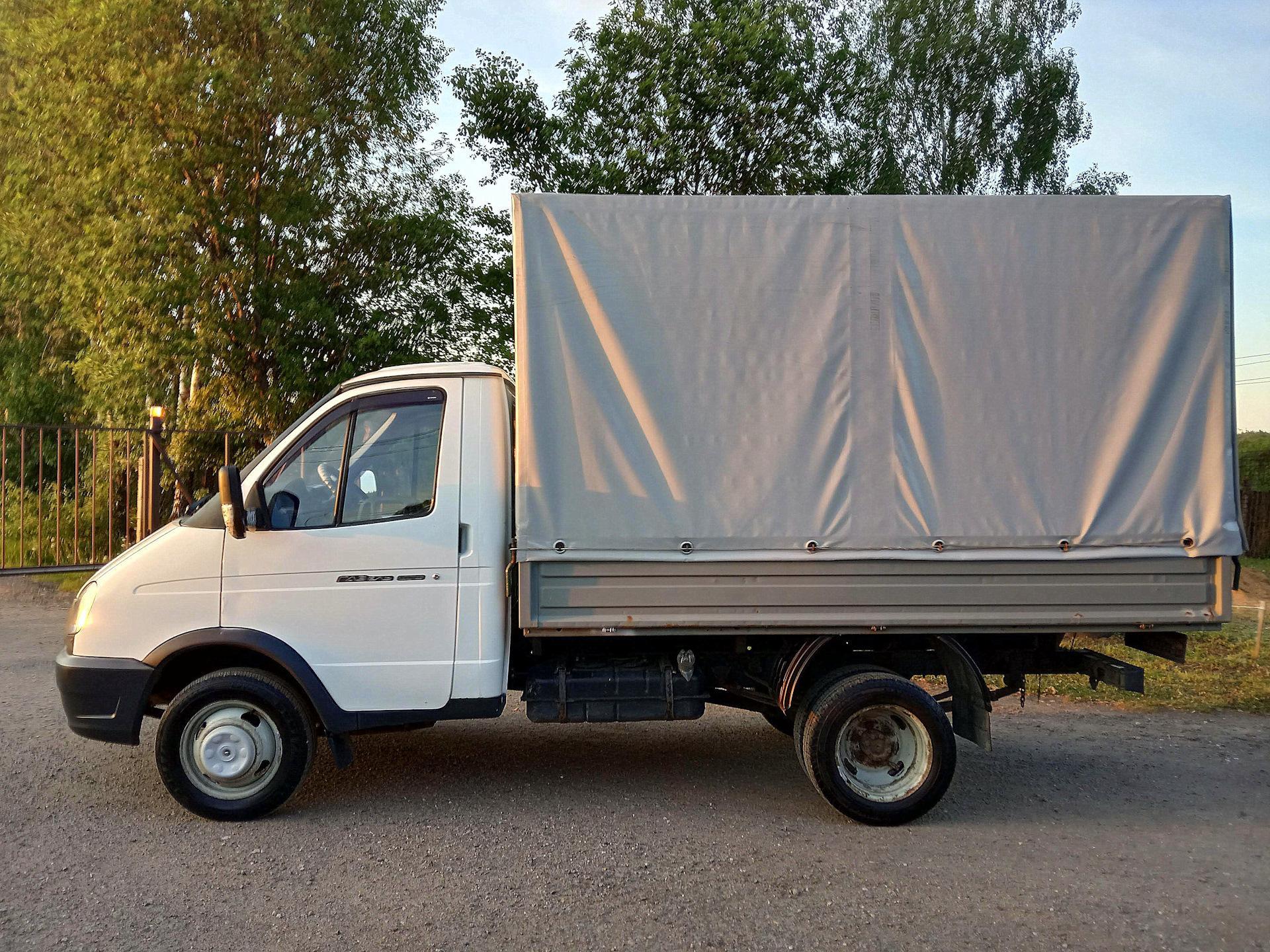 Газель